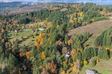 This 3 bedroom 2 bathroom 2,307 sqft home sits on a 1.56-acre - photo 41