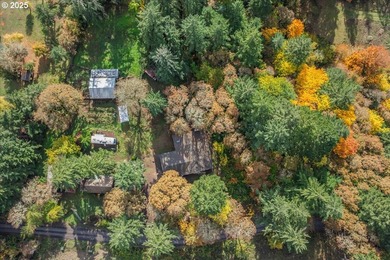 This 3 bedroom 2 bathroom 2,307 sqft home sits on a 1.56-acre - photo 43
