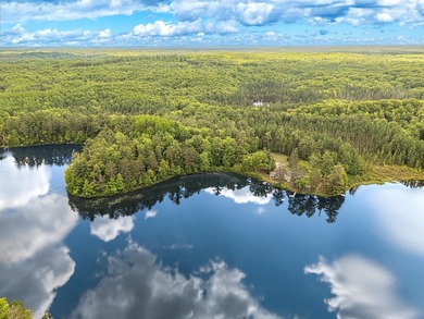 Musky Lake Commercial For Sale in Harshaw Wisconsin