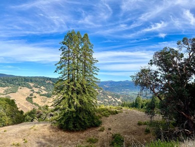 In the heart of Northern California's revered Wine Country - photo 4