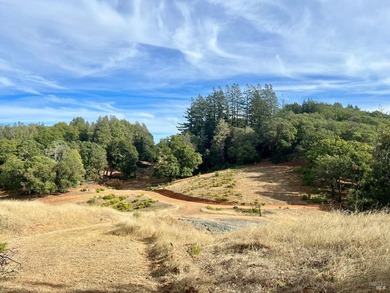 In the heart of Northern California's revered Wine Country - photo 5