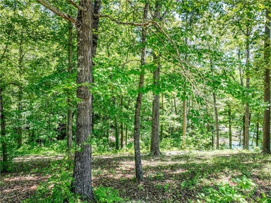 The Keowee Life! Located in Keowee Subdivision, this Lake Keowee - photo 12