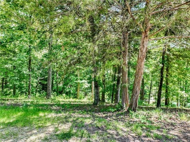 The Keowee Life! Located in Keowee Subdivision, this Lake Keowee - photo 13