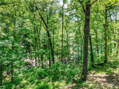 The Keowee Life! Located in Keowee Subdivision, this Lake Keowee - photo 19