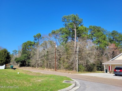 1.3 Acres on 50th Avenue off of 28th Street North of CB Base * - photo 2
