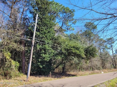 1.3 Acres on 50th Avenue off of 28th Street North of CB Base * - photo 3