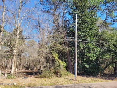 1.3 Acres on 50th Avenue off of 28th Street North of CB Base * - photo 4