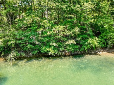 The Keowee Life! Located in Keowee Subdivision, this Lake Keowee - photo 26