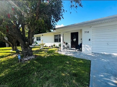Move-In Ready Home in Punta Gorda! This light and bright home - photo 3