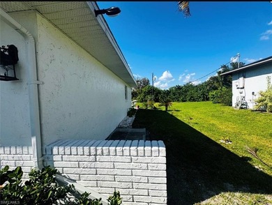 Move-In Ready Home in Punta Gorda! This light and bright home - photo 4
