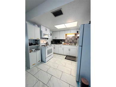 Move-In Ready Home in Punta Gorda! This light and bright home - photo 8