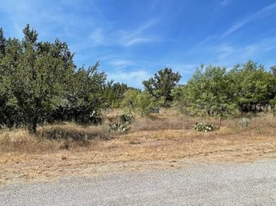 Lake Lot For Sale in Brownwood, Texas