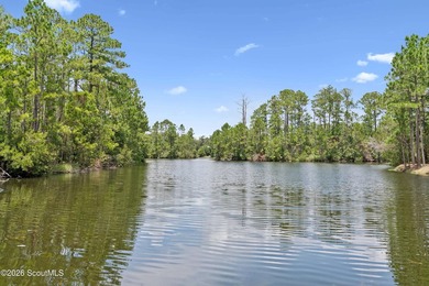 Situated along Stillwater Lake, 191 Stillwater Drive is a custom - photo 40