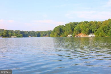 Experience brand-new construction at Lake Anna with deeded lake - photo 50