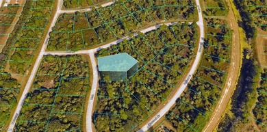 Great residential vacant lot of .30 Acres in an up and coming - photo 2
