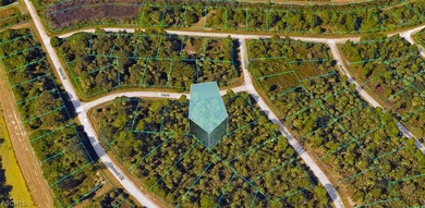 Great residential vacant lot of .30 Acres in an up and coming - photo 3