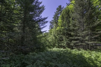 Unique acreage in Natural Lakes off CTH B & Bluebill Rd! A mix - photo 3