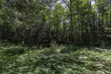 Unique acreage in Natural Lakes off CTH B & Bluebill Rd! A mix - photo 4