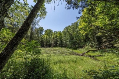 Unique acreage in Natural Lakes off CTH B & Bluebill Rd! A mix - photo 5