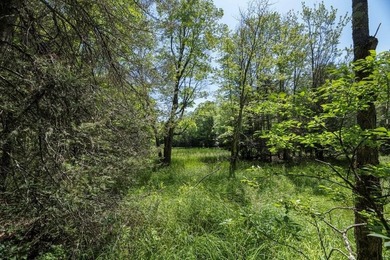 Unique acreage in Natural Lakes off CTH B & Bluebill Rd! A mix - photo 6