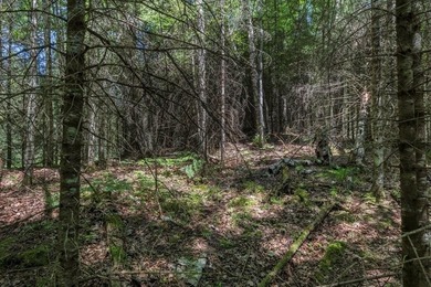 Unique acreage in Natural Lakes off CTH B & Bluebill Rd! A mix - photo 7