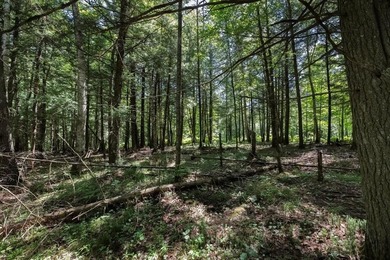 Unique acreage in Natural Lakes off CTH B & Bluebill Rd! A mix - photo 8