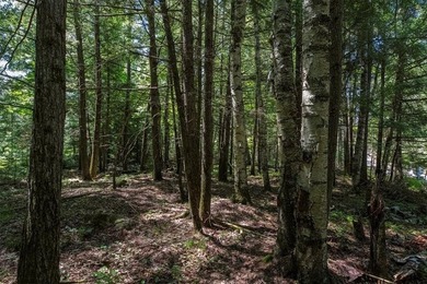 Unique acreage in Natural Lakes off CTH B & Bluebill Rd! A mix - photo 10