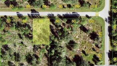 Port Charlotte Waterway Area Lot For Sale in Port Charlotte Florida