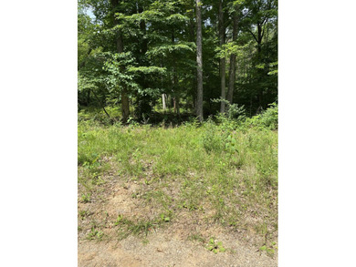 Lake Cumberland Lot For Sale in Burnside Kentucky