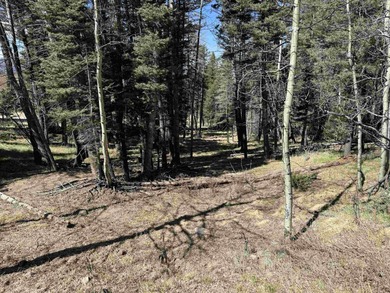 Monte Verde Lake Lot For Sale in Angel Fire New Mexico