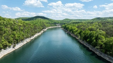 Nestled among the trees in the Echo Point area of Bronston, this - photo 14