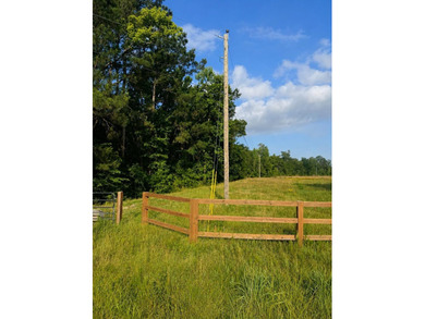 5.56 wooded acres in a peaceful country setting, this unique - photo 2