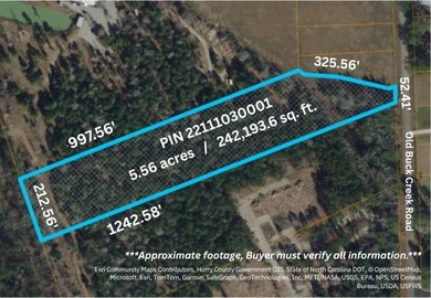 5.56 wooded acres in a peaceful country setting, this unique - photo 3