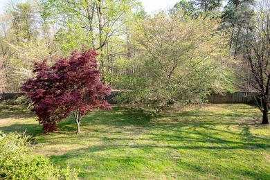 OPEN HOUSE THIS SUNDAY, MAR 29th, 2-4PM. This renovated home - photo 27
