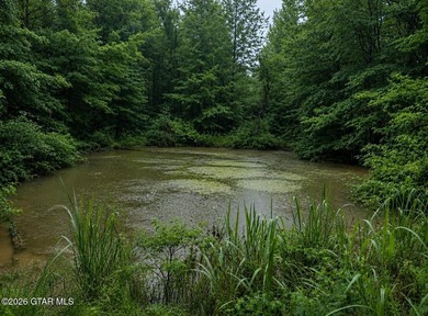 New Construction 2026 home on 18.23 Acres! This beautiful 1 - photo 14