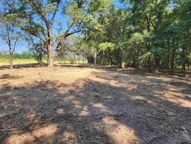(private lake, pond, creek) Acreage For Sale in Pittsburg Texas