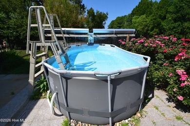 One property with numerous features. This property has two docks - photo 42