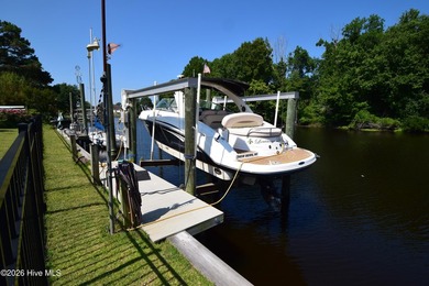 One property with numerous features. This property has two docks - photo 46