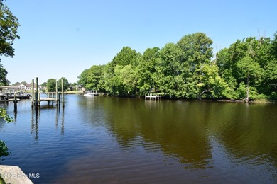 One property with numerous features. This property has two docks - photo 49