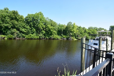 One property with numerous features. This property has two docks - photo 50