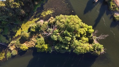 Discover your own 1-acre private island, accessible only by boat - photo 7