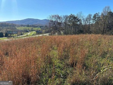 Lake Chatuge Acreage For Sale in Hayesville North Carolina