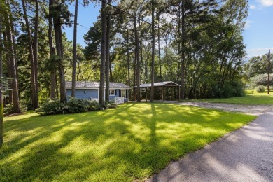 Welcome to your fully furnished lakefront retreat on Houston - photo 22