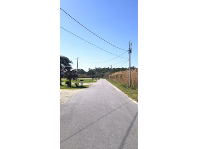 Bay Front Lot With Absolutely Beautiful, Unobstructed Water - photo 23