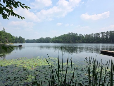 Lake Lot Sale Pending in White Lake, Wisconsin