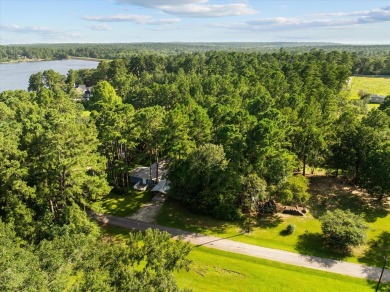 Welcome to your fully furnished lakefront retreat on Houston - photo 32