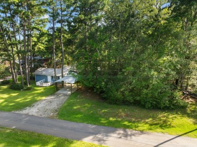 Welcome to your fully furnished lakefront retreat on Houston - photo 34
