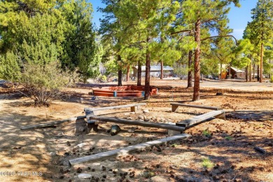 Life-Changing Camp in Prescott-Ideal for Nonprofits & Investment - photo 49