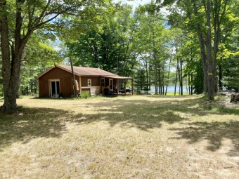 Ranger Lake Home For Sale in Gaylord Michigan