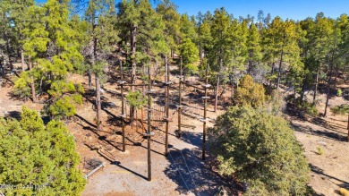 Life-Changing Camp in Prescott-Ideal for Nonprofits & Investment - photo 53